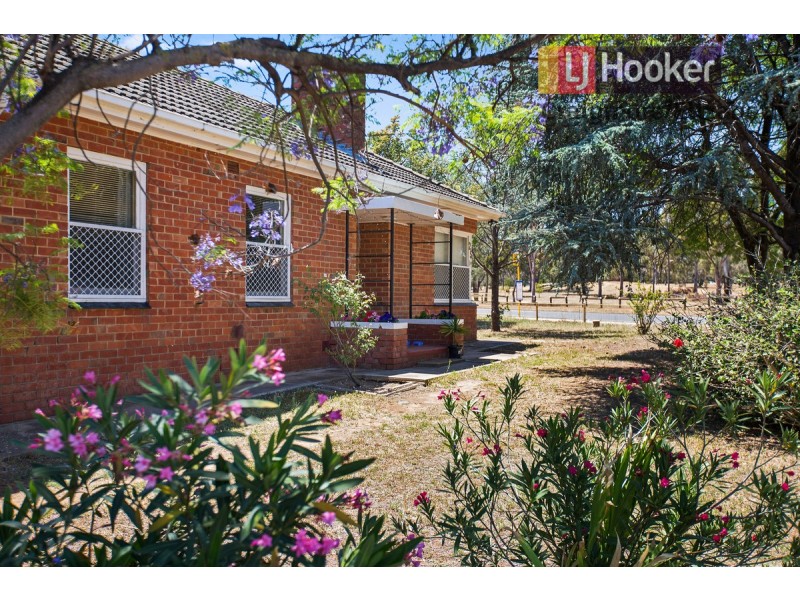 25 Ifould Road, Elizabeth Park SA 5113