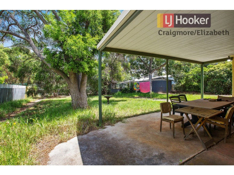 17 Barrington Road, Elizabeth Downs SA 5113