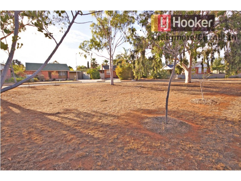 8 Waite Street, Elizabeth Downs SA 5113