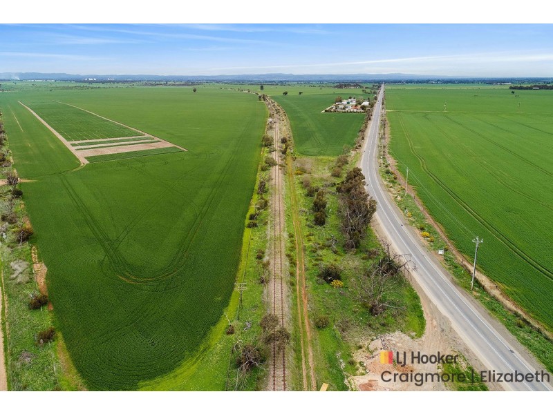 11 Forster Street, Wasleys SA 5400