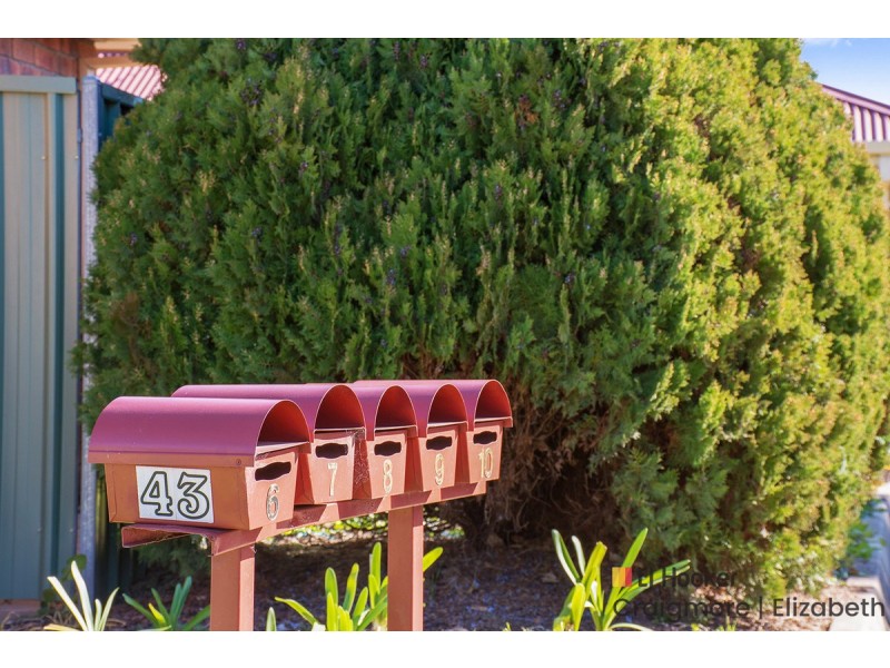 8/43 Para Road, Evanston SA 5116