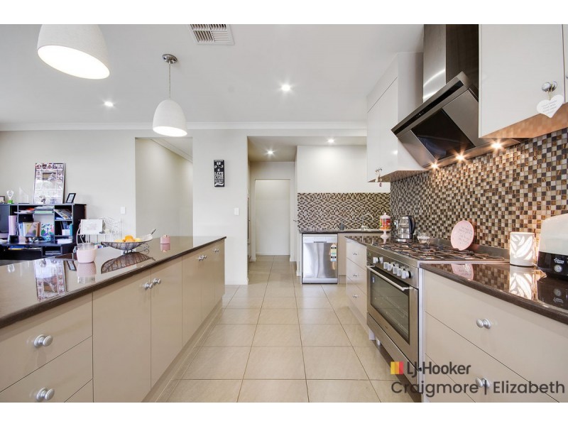 6 Sears Road, Evanston Gardens SA 5116