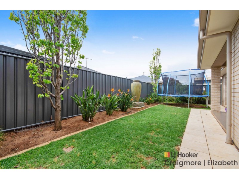 6 Sears Road, Evanston Gardens SA 5116