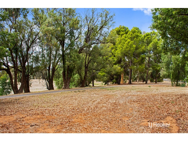 79 Forrestall Road, Elizabeth Downs SA 5113
