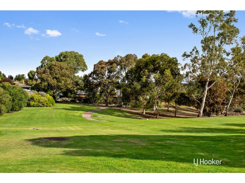 25 Halcyon Avenue, Greenwith SA 5125