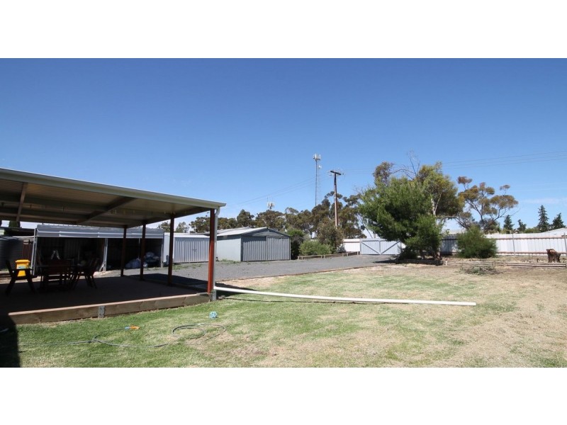 20 Derby Street, Freeling SA 5372