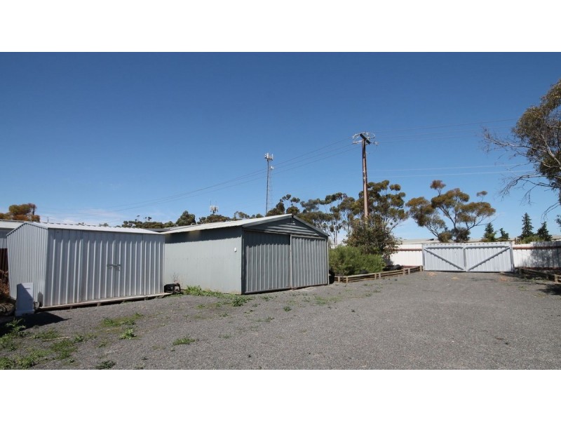 20 Derby Street, Freeling SA 5372