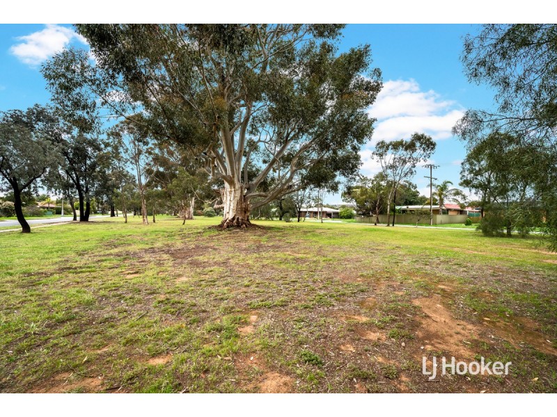 3 Carlingford Drive, Salisbury Park SA 5109