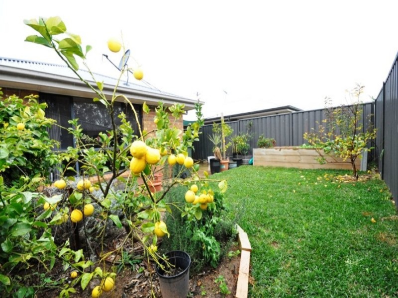 21 Chateau Avenue, Andrews Farm SA 5114