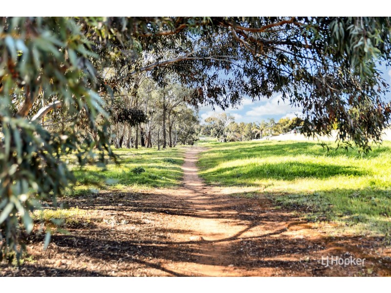 19 Hughes Court, Elizabeth East SA 5112