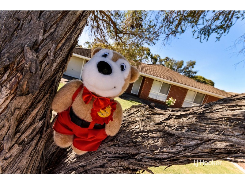 26 Lukin Avenue, Paralowie SA 5108