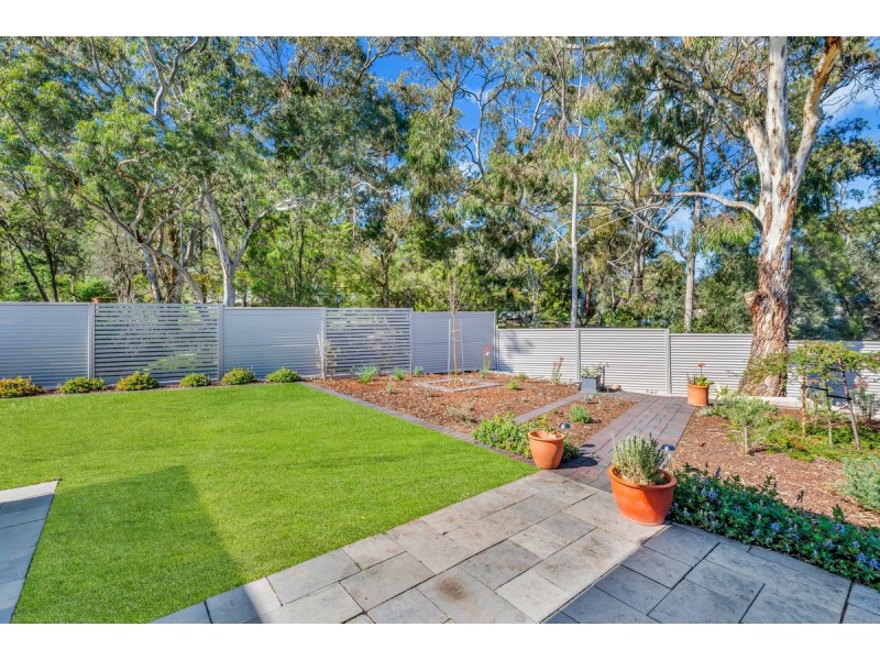 4 Treetop Street, Tea Tree Gully SA 5091