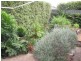 57 Morialta Road, Rostrevor SA 5073