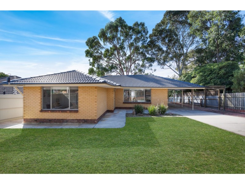 16 Barns Avenue, Highbury SA 5089