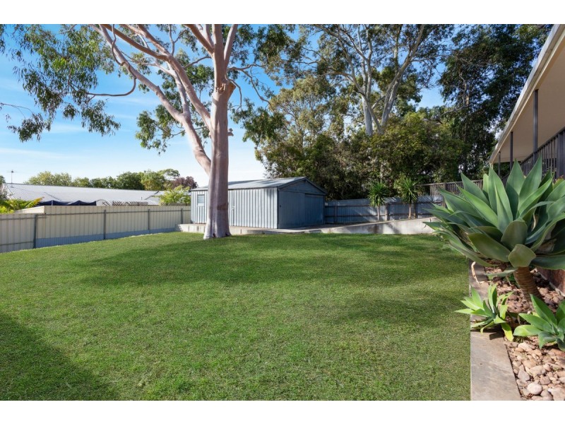 16 Barns Avenue, Highbury SA 5089