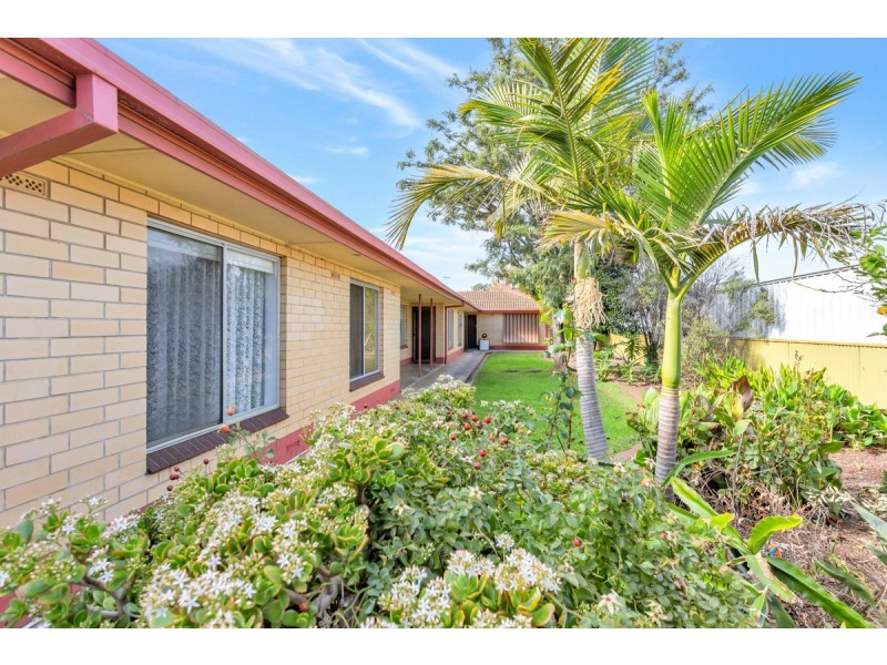 3/17 Halifax Street, Hilton SA 5033