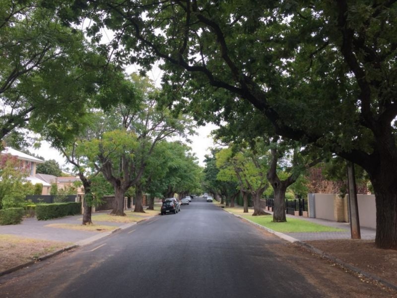 5/91 Alexandra Avenue, Toorak Gardens SA 5065