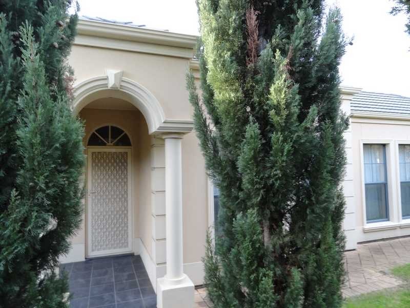 17 Montacute Road, Campbelltown SA 5074