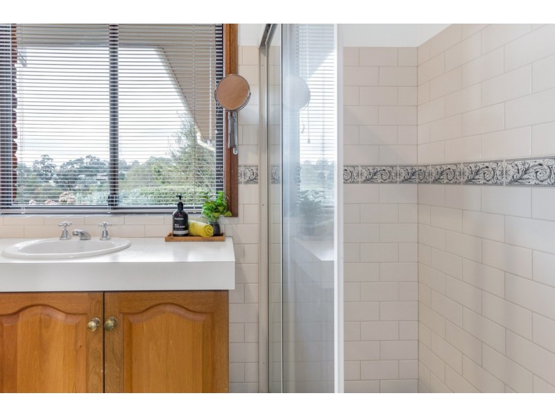 3 Coachwood Drive, Aberfoyle Park SA 5159