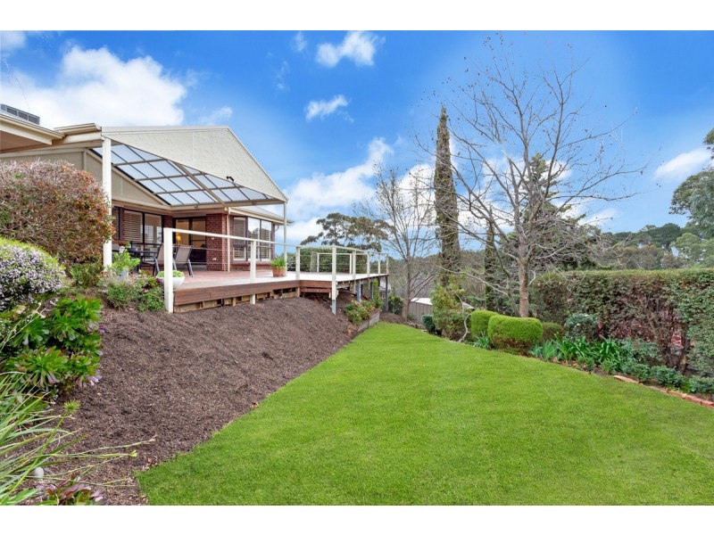 3 Coachwood Drive, Aberfoyle Park SA 5159