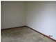 167 Gorge Road, Paradise SA 5075