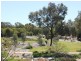 5 Riverbank Circuit, Campbelltown SA 5074