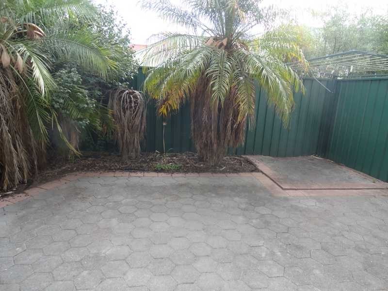3 Thiele Grove, Kensington Park SA 5068