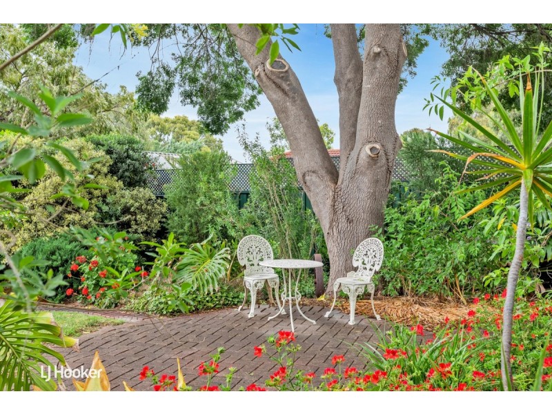 6 Hogan Street, Fairview Park SA 5126