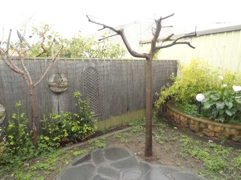 12 Trafford Street, Campbelltown SA 5074