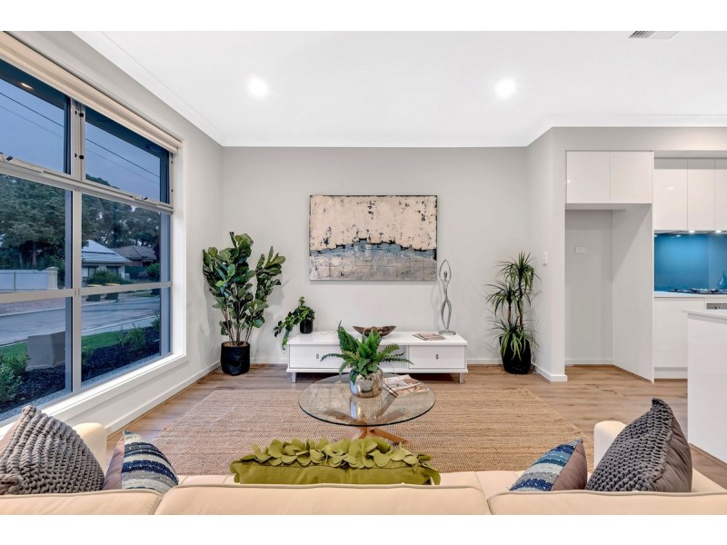 17 Patful Street, Campbelltown SA 5074