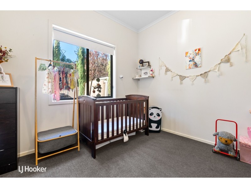 20 Clarence Drive, Athelstone SA 5076