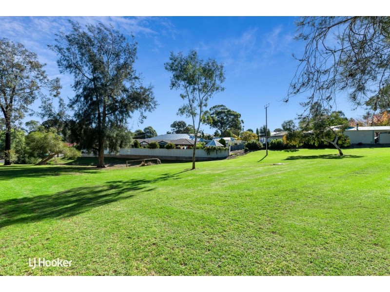 20 Clarence Drive, Athelstone SA 5076