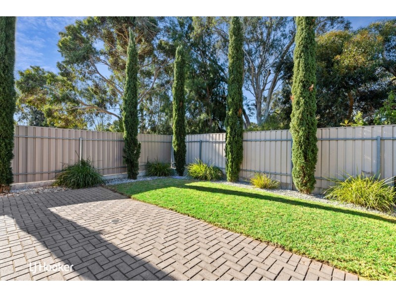 20 Clarence Drive, Athelstone SA 5076