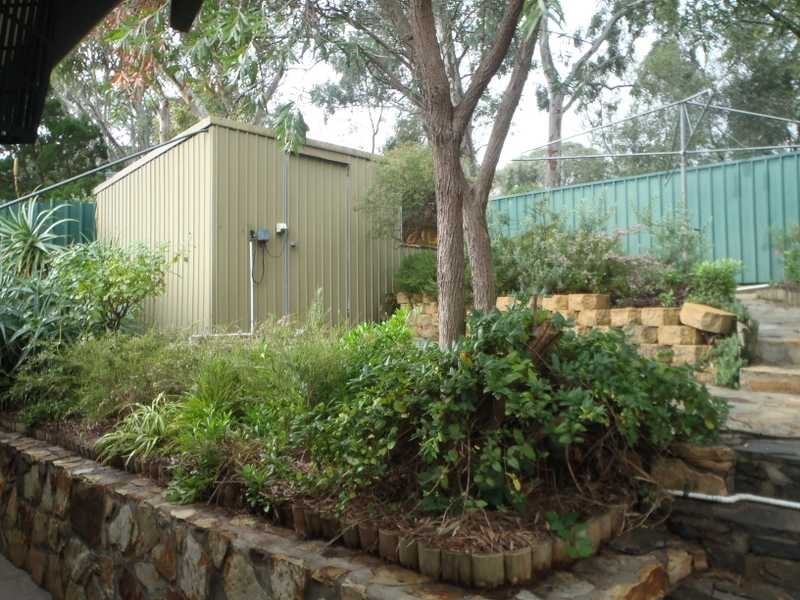 7 Sheoak Drive, Athelstone SA 5076