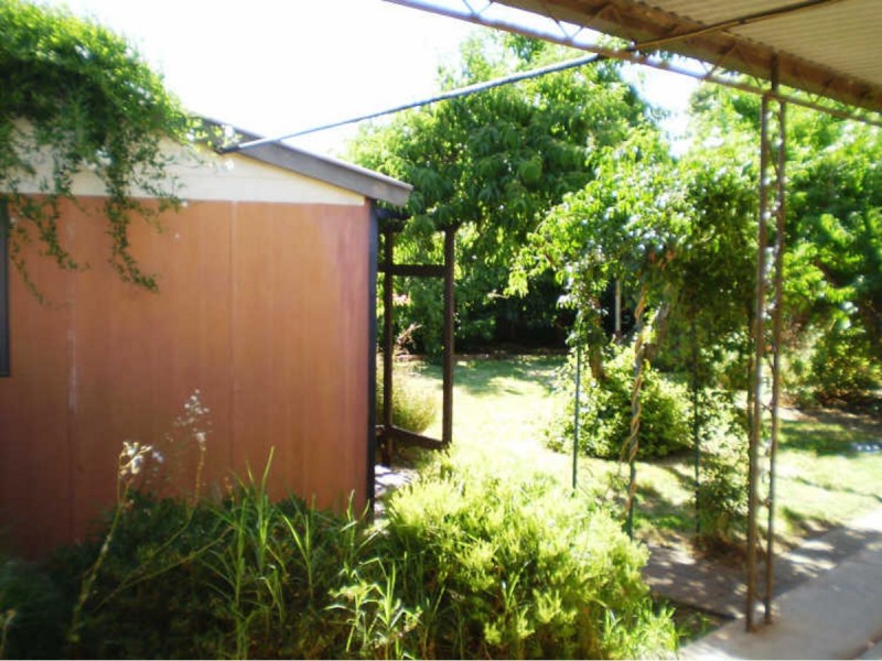 3 Pam Street, Payneham South SA 5070