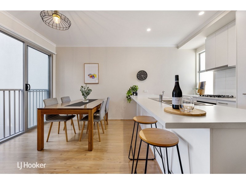 16 Tiara Street, Lightsview SA 5085