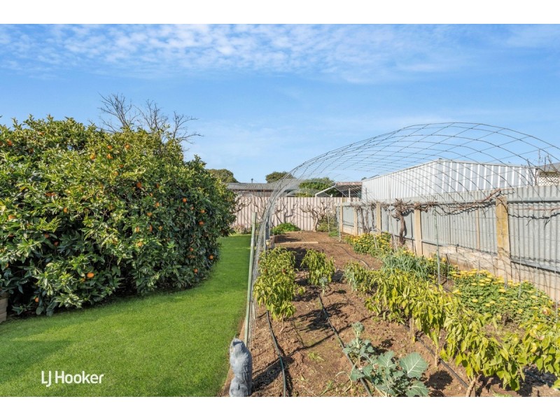 22 Hann Street, Glynde SA 5070