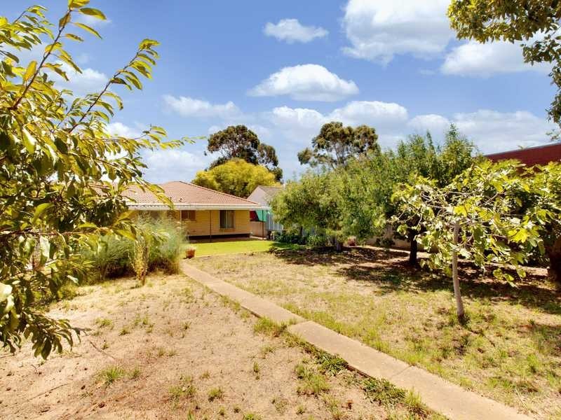 44 Launer Avenue, Rostrevor SA 5073