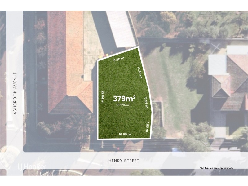 43 Henry Street, Payneham SA 5070