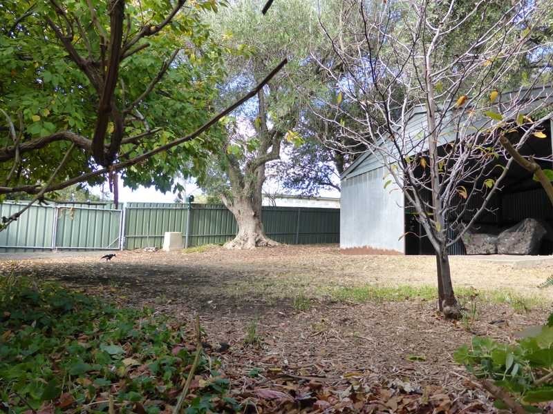 3 Katoomba Road, Beaumont SA 5066