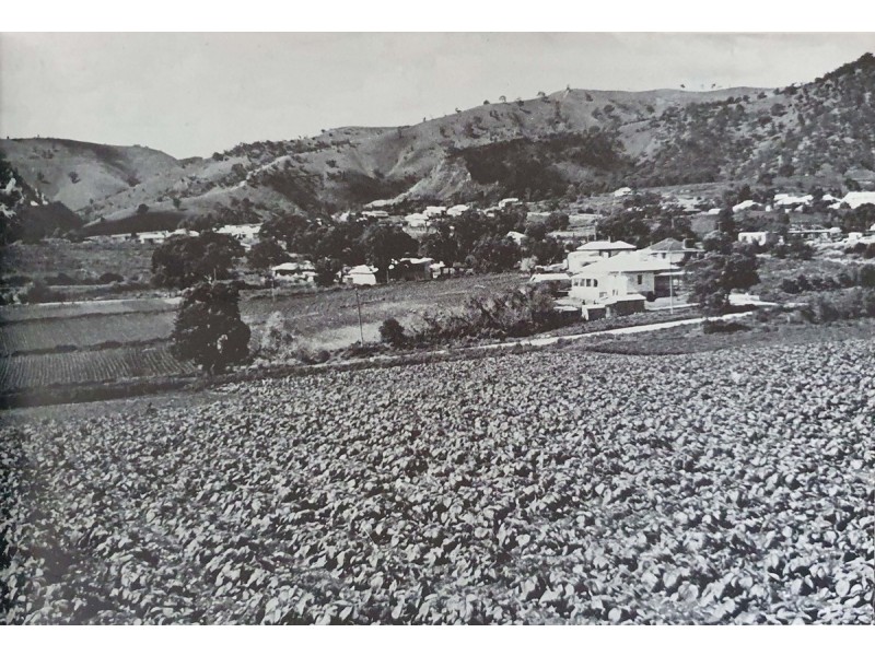 274 Lower Athelstone Road, Athelstone SA 5076