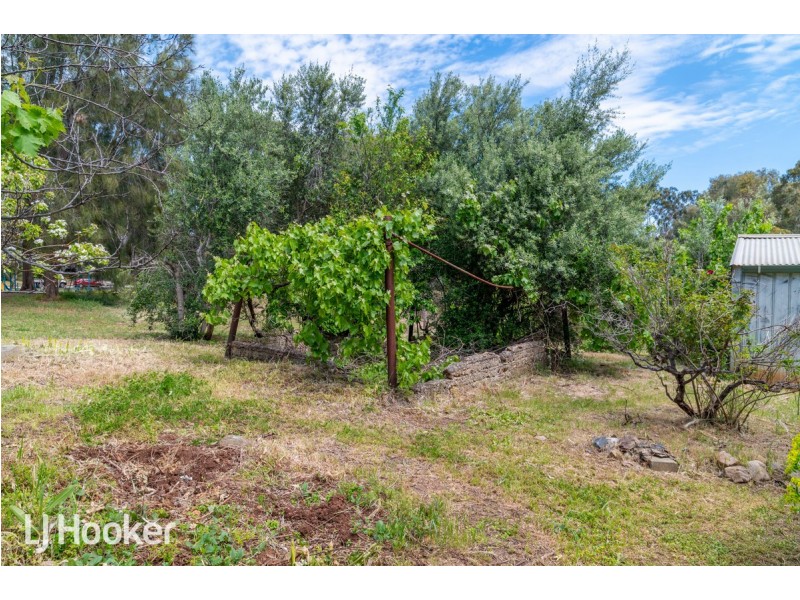 274 Lower Athelstone Road, Athelstone SA 5076