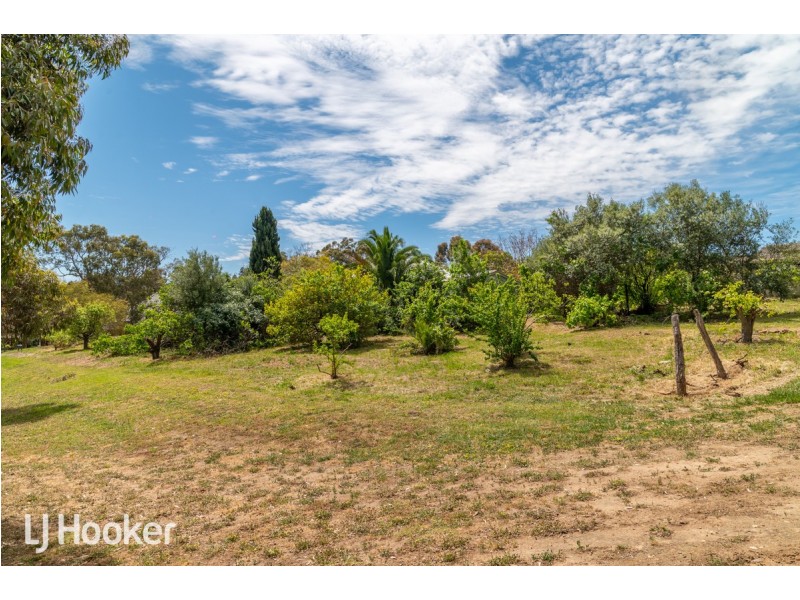 274 Lower Athelstone Road, Athelstone SA 5076