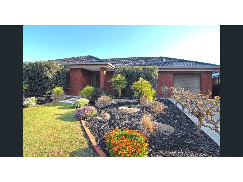 8 Theodore Avenue, Athelstone SA 5076