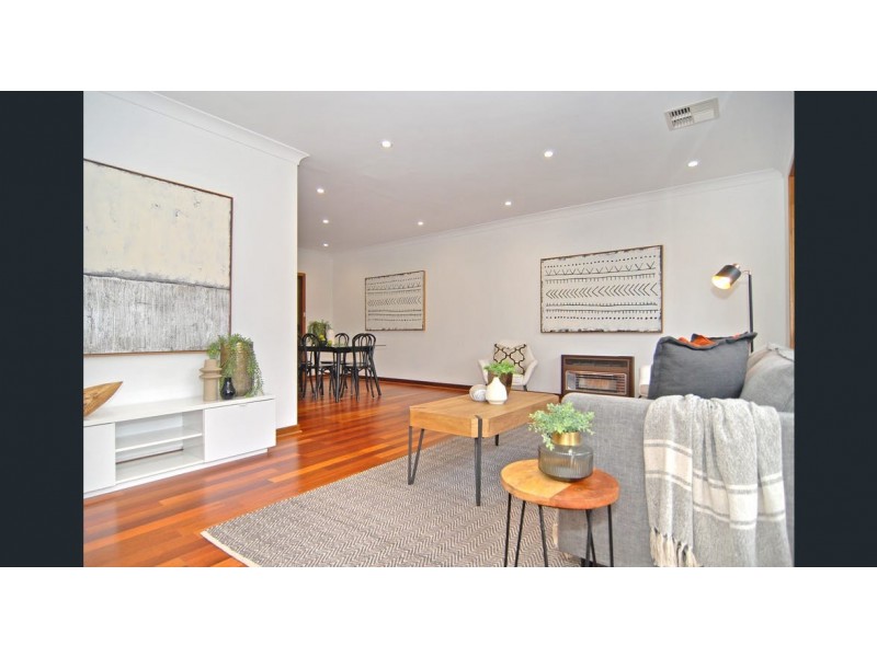 8 Theodore Avenue, Athelstone SA 5076
