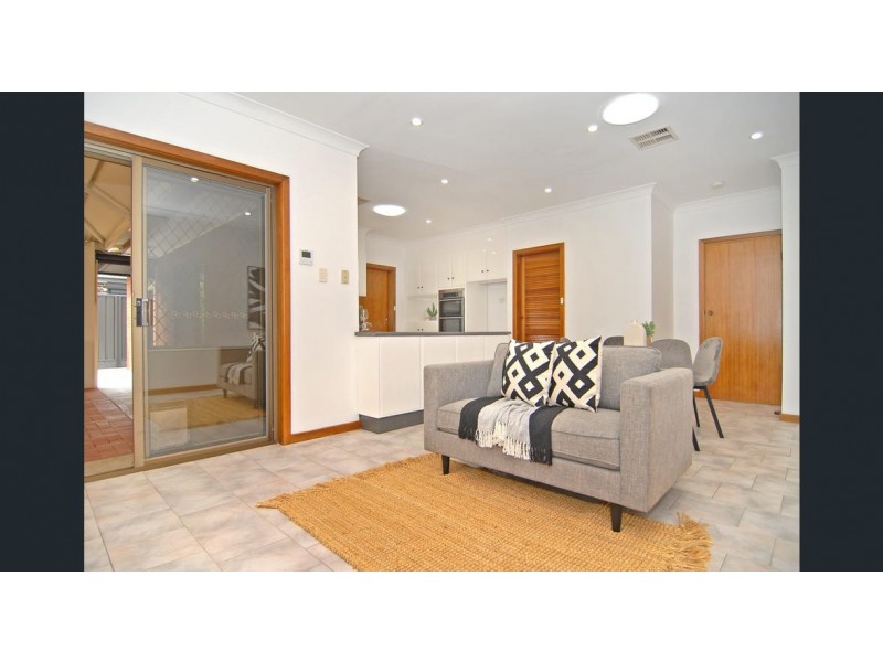 8 Theodore Avenue, Athelstone SA 5076