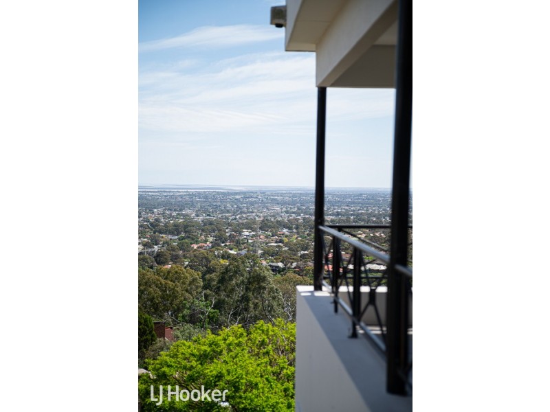 32 Patrick Auld Drive, Auldana SA 5072