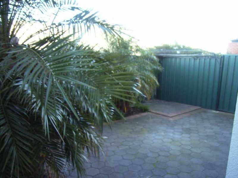 1 Thiele Grove, Kensington Park SA 5068