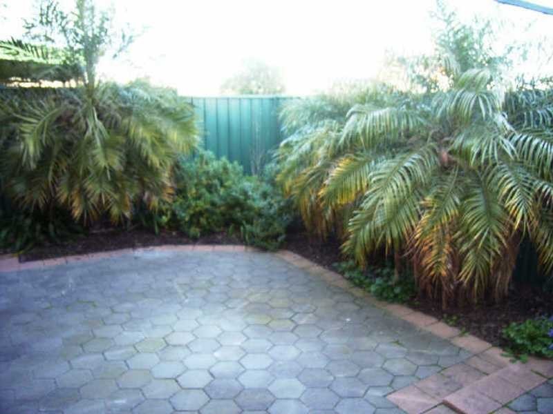 1 Thiele Grove, Kensington Park SA 5068