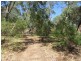 24 Arcoona Avenue, Rostrevor SA 5073